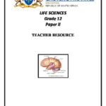 grade 12 life sciences assignment term 3 2019
